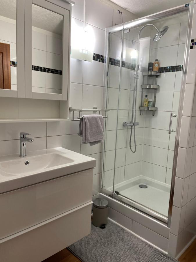 Appartement La Petite Venise Colmar Dış mekan fotoğraf